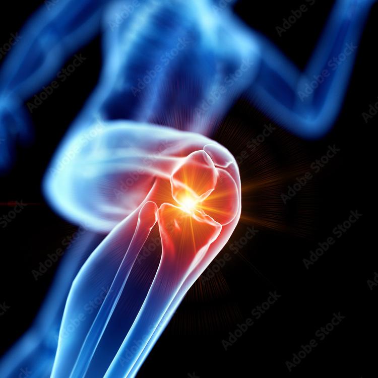 Healthy Hamstrings = Healthy Knees